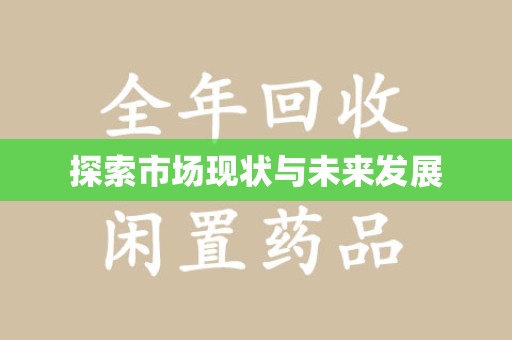南京探索市场现状与未来发展
