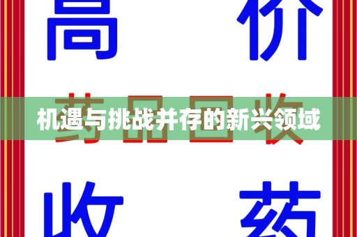 南京机遇与挑战并存的新兴领域