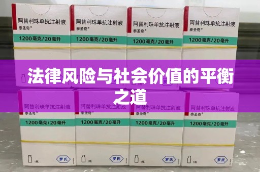 南京法律风险与社会价值的平衡之道
