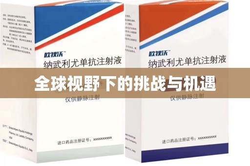 南京全球视野下的挑战与机遇