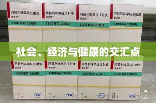 南京社会、经济与健康的交汇点