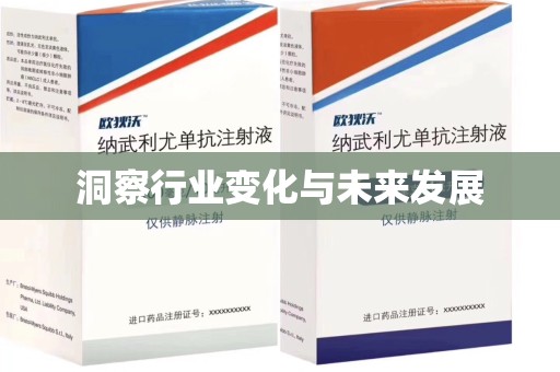 南京洞察行业变化与未来发展