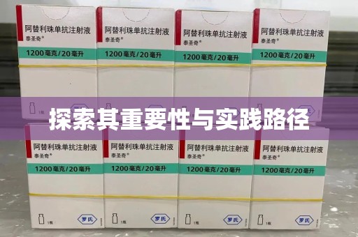 南京探索其重要性与实践路径