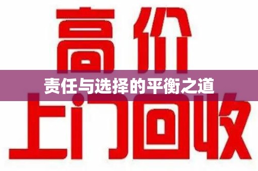 南京责任与选择的平衡之道