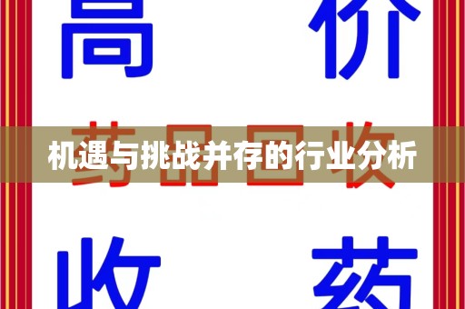 南京机遇与挑战并存的行业分析