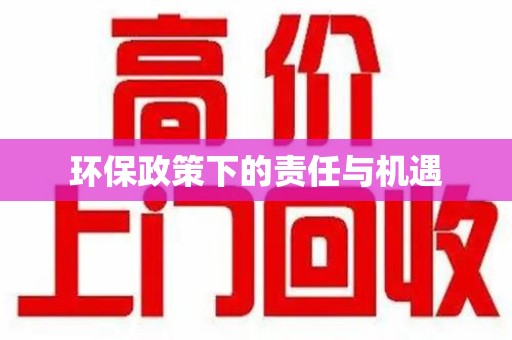 南京环保政策下的责任与机遇