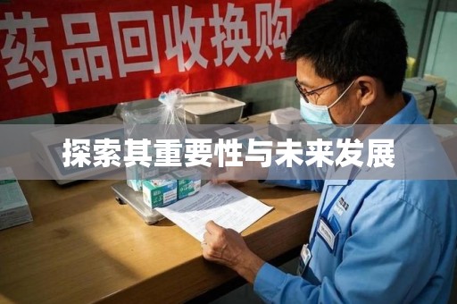 南京探索其重要性与未来发展