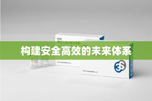 南京构建安全高效的未来体系