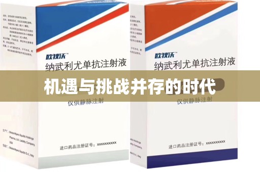 南京机遇与挑战并存的时代