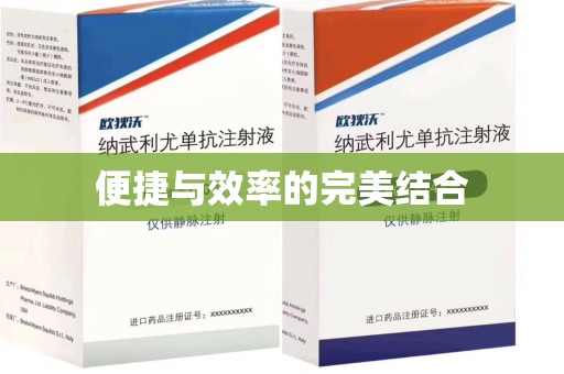 南京便捷与效率的完美结合