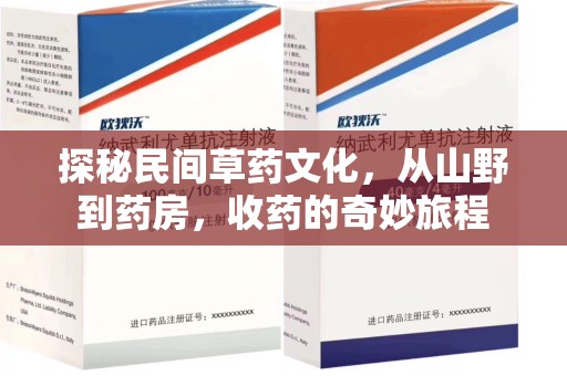 南京探秘民间草药文化，从山野到药房，收药的奇妙旅程