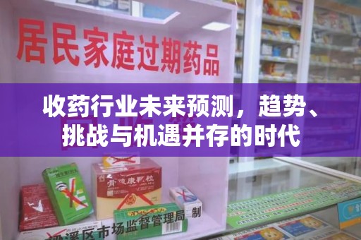 南京收药行业未来预测，趋势、挑战与机遇并存的时代
